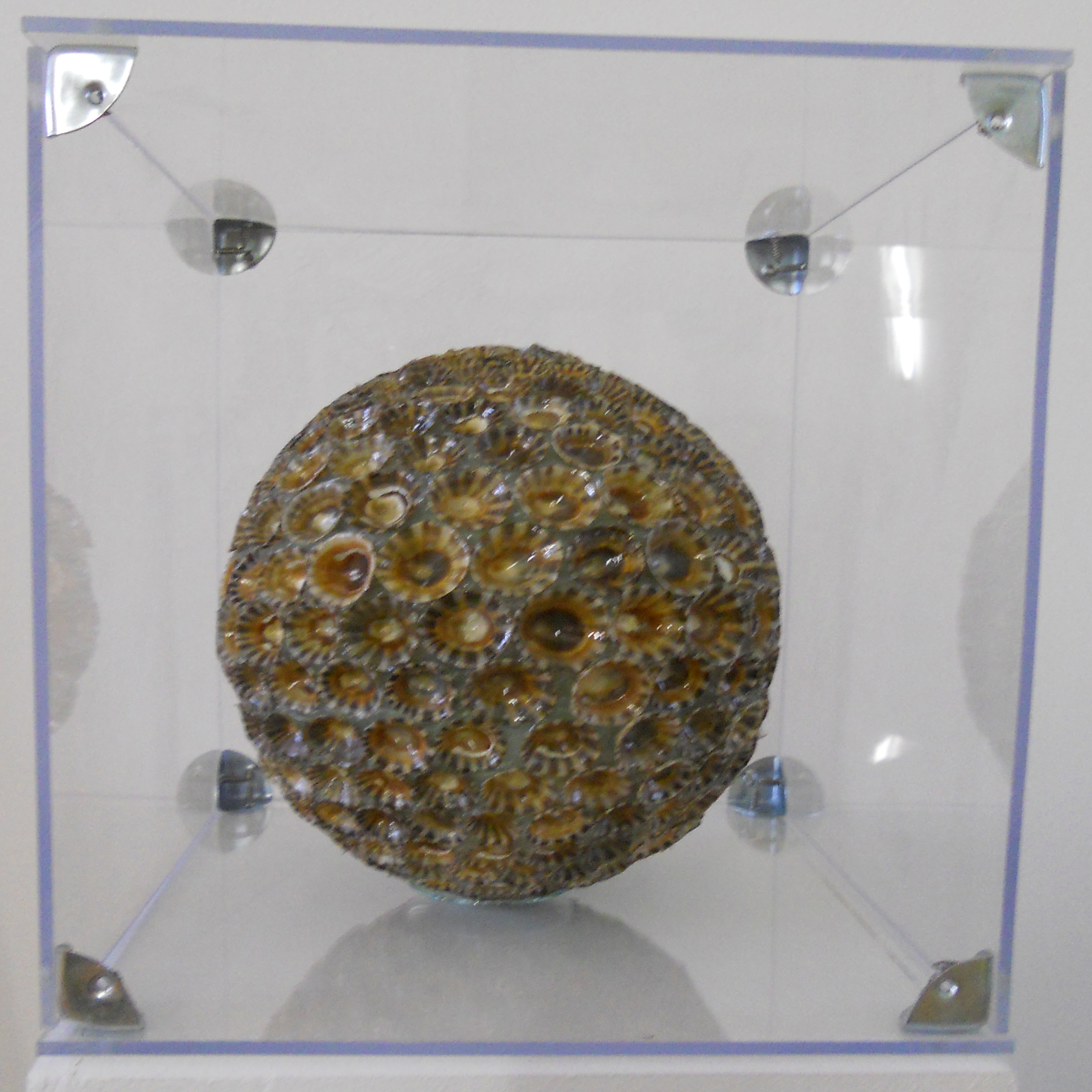 MW 03 (Hohe Aufl&ouml;sung)